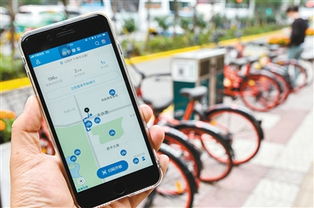 市民街头使用手机查看相关新闻讨论画面