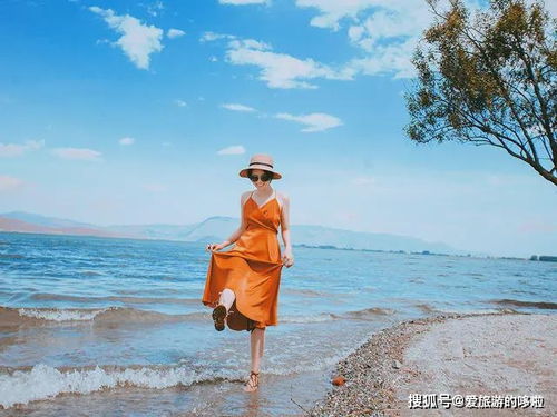 神奇的大理：一个旅人眼中的山与海，梦与归