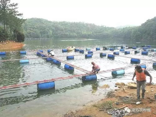 大连水库工作人员采样调查