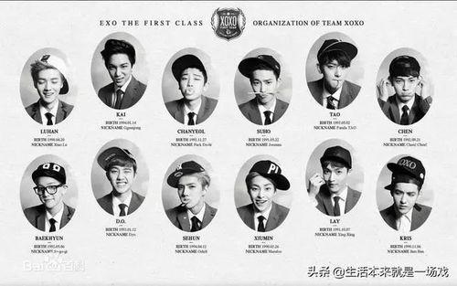 粉丝制作的EXO批改作业评分表