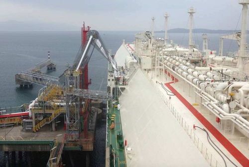 港口旁排队等待的外国货轮<p>据路透社报道，一旦这项政策实施，每年新增的航运成本将达到<strong style='color:#1E90FF;'>300亿~520亿美元</strong>之间，并最终由全球消费者买单。</p><p>更严重的是，这种单边主义行为可能会破坏现有的国际贸易秩序，甚至引发其他国家的报复性措施。</p><h2 id=