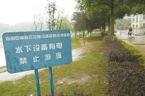 禁止私自放生的警示牌立在湖边