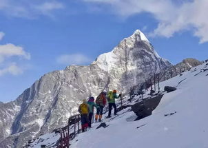 四姑娘山一游客疑因高反离世，五一假期户外安全再敲警钟