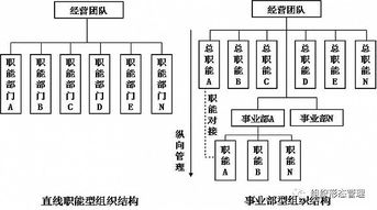 CosMx文献分享｜滑膜组织中树突状细胞亚群的生态位变化揭示类风湿关节炎新机制