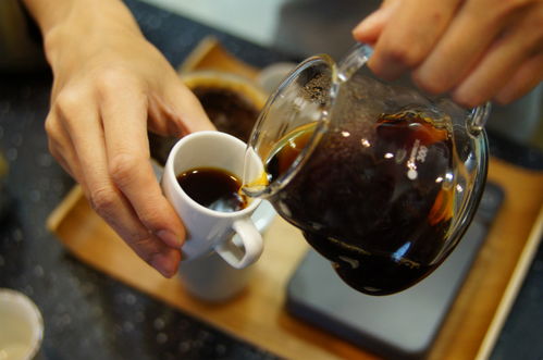 咖啡师正在手冲一杯高规格咖啡