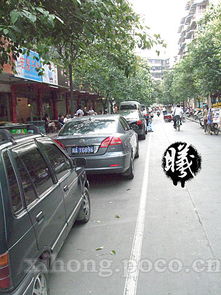 餐馆一隅：雨夜家庭无&ldquo;机&rdquo;之乐