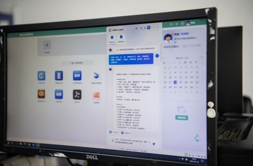 DeepSeek交互界面截图