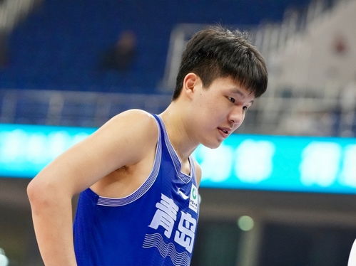 杨瀚森身形对比图