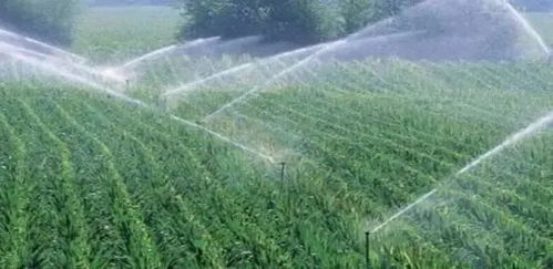 智能灌溉系统在农田中运作场景