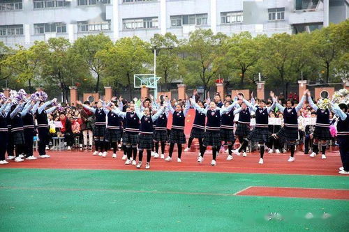 金盏速度节开幕式现场盛况