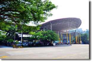 观音山古树博物馆内部展示