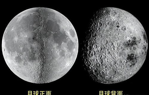 月球土壤样本被小心保存在实验室中