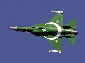 巴基斯坦民众在现场拍摄战机