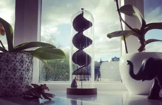 《活在此时此刻》：我该如何真正地活着？