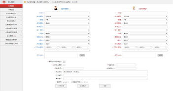 婚姻登记系统数据查询界面示意图