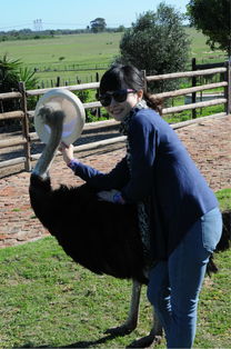 南非多地暴发口蹄疫疫情，我亲眼见证农场主的绝望与挣扎