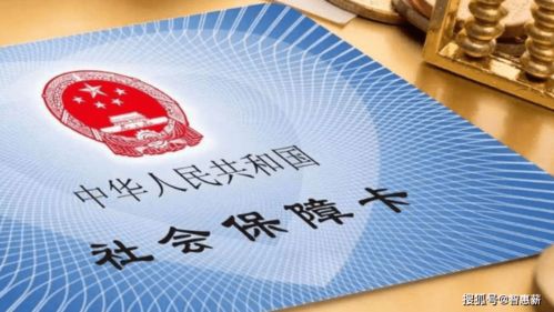 学生们共同将承诺卡拼成盾牌形状