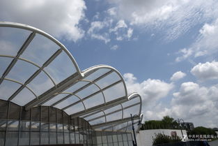 迪士尼公司总部