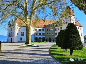 中美经贸会谈达成重要共识，何立峰副总理瑞士之行释放哪些信号？