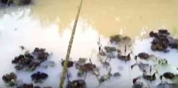 记忆中的爷爷｜那些年，他教会我的事