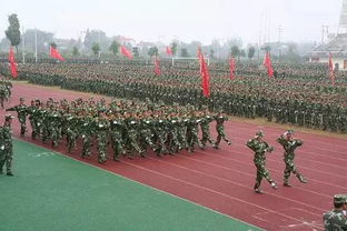 青年学生参加军训<br>