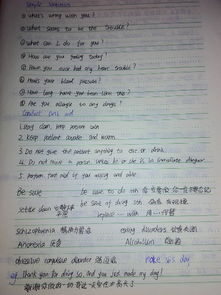 一张展示不同风格文章的笔记本页面<p>在这个过程中，我逐渐形成了自己的写作标签：温暖、细腻、带点哲思又不失生活气息。</p><p id=