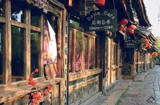 一直对菌子火锅没概念直到吃了一次，我彻底沦陷了