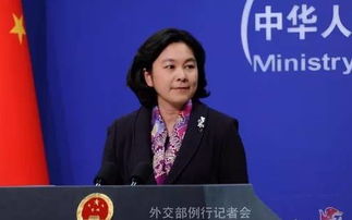 中国外交部发言人林剑发言画面