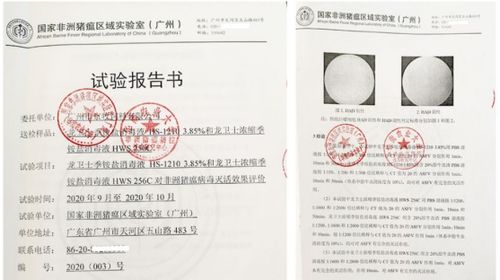 实验室检测报告截图