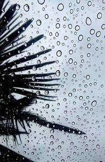 终于发现了雨天的浪漫之处