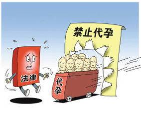 杭州出租房疑存非法代孕活动，官方通报揭开黑产链条一角