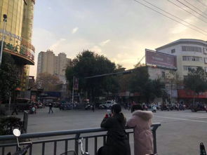 台北街头市民低头看手机的街拍画面