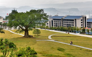 重庆三峡学院校园风景图