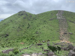 福建8岁男童爬山失踪进入第8天，我亲历现场记录搜救全过程