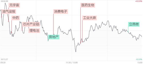 涨停个股数量统计