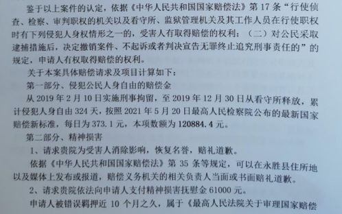 国家赔偿申请书封面特写