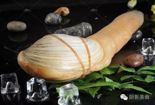 华盛顿州象拔蚌出口受阻