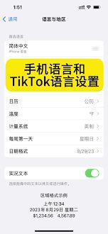 TikTok应用界面展示