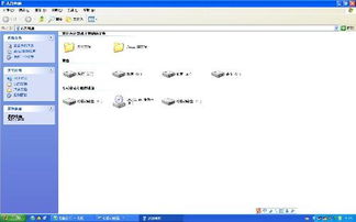 小小在电脑前专注写代码的背影