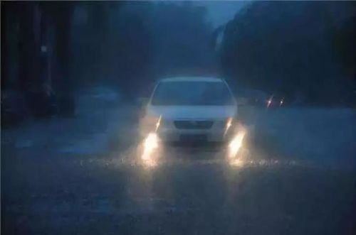 夜晚灯光下摆放着一本打开的投资书籍和笔记本电脑