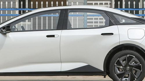 冬季隐藏式车门把手被冻住