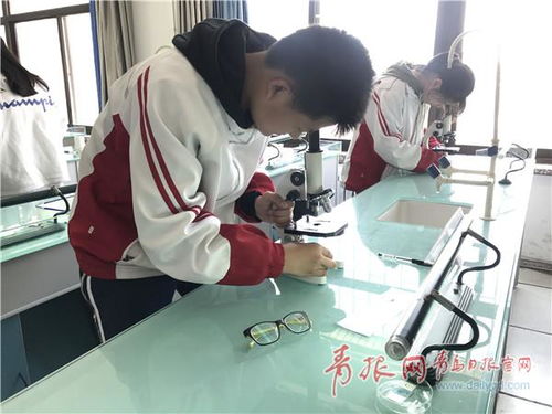 金相技能大赛前的实战演练，我在湘潭大学见证了一场硬核技术较量！