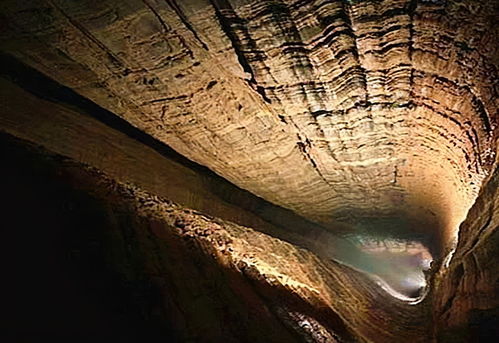 铁铲挖出8000年“华夏基因库”！碳十四检测实锤：老官台改写仰韶起源史