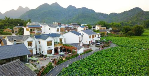 拒服兵役后果有多严重？00后男子被全网通报，人生彻底改写！