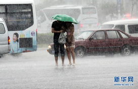搜救队员在雨中艰难前行