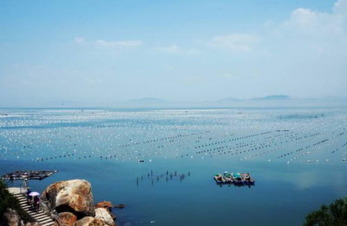 我用速写记录生活，水墨描绘记忆——汕尾到汕头的写生旅程