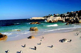 南非开普敦海滩风景