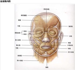 梅杰综合征：面部肌肉的“疯狂派对”背后，我与神经疾病的抗争之路