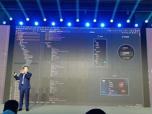 开发者使用阶跃模型