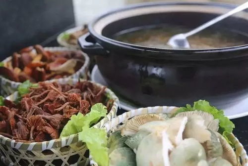 厨房中正在准备的菌子火锅食材